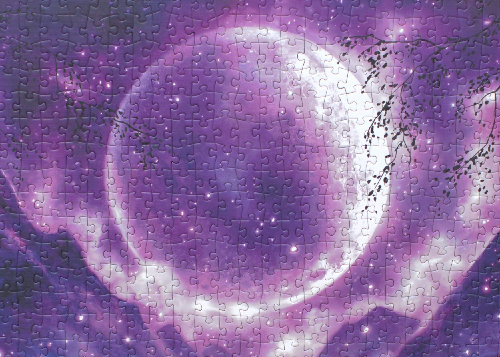 Moonlit whispers close up view