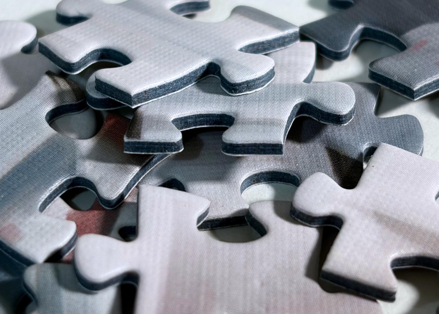 Scent of wisdom jigsaw pieces close up view