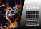Stripes of the untamed sorting guide patterns